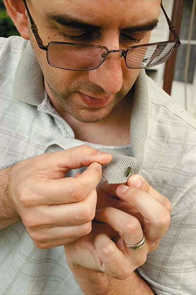 Second slide image